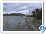 Flooded Fields SW of the Woods (the woods are in the background)